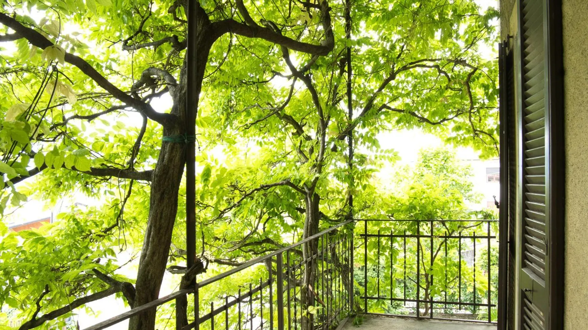 Villa Pini Balbiani Lierna